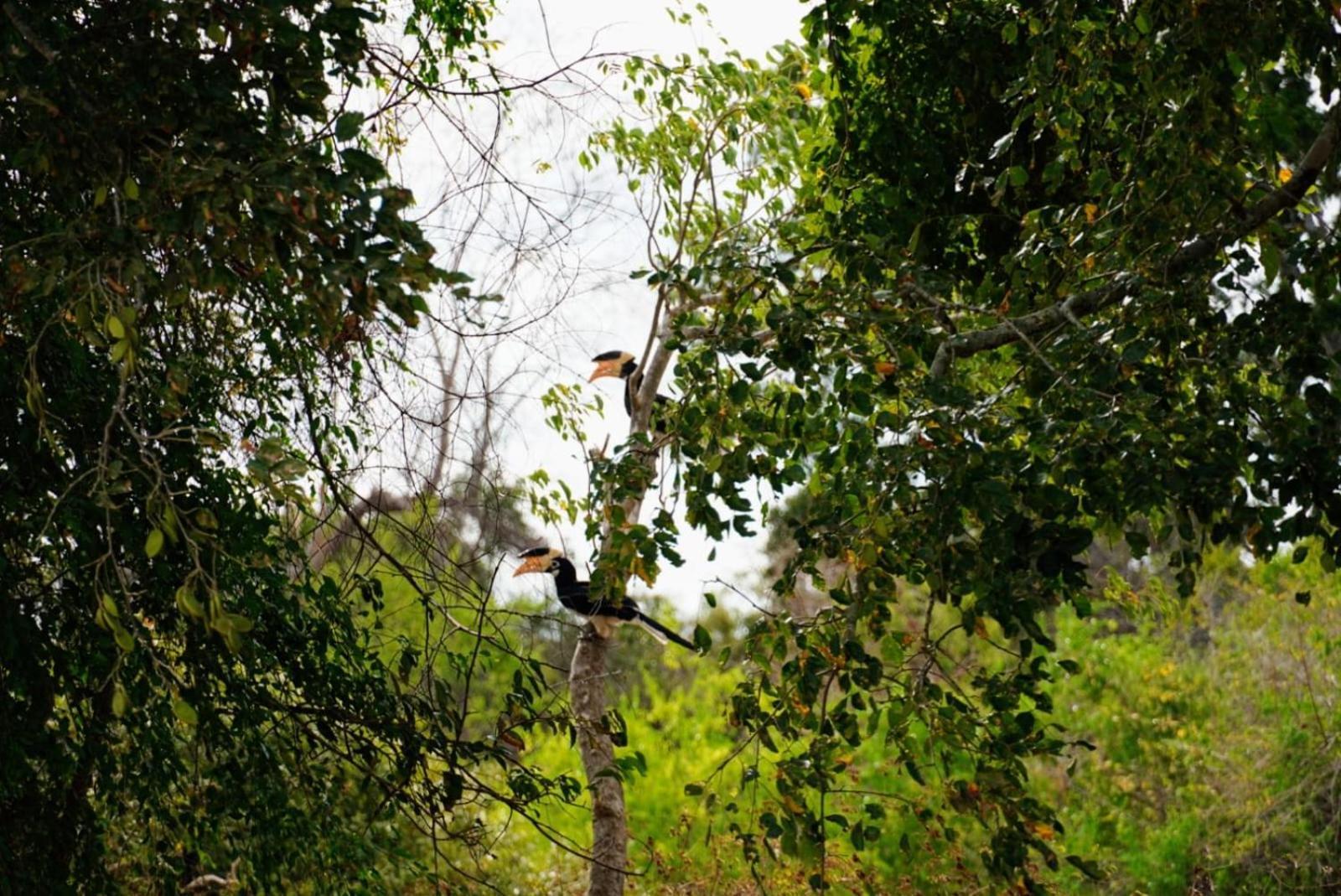 Surfers Park Arugambay Bed and Breakfast Arugam Bay Buitenkant foto